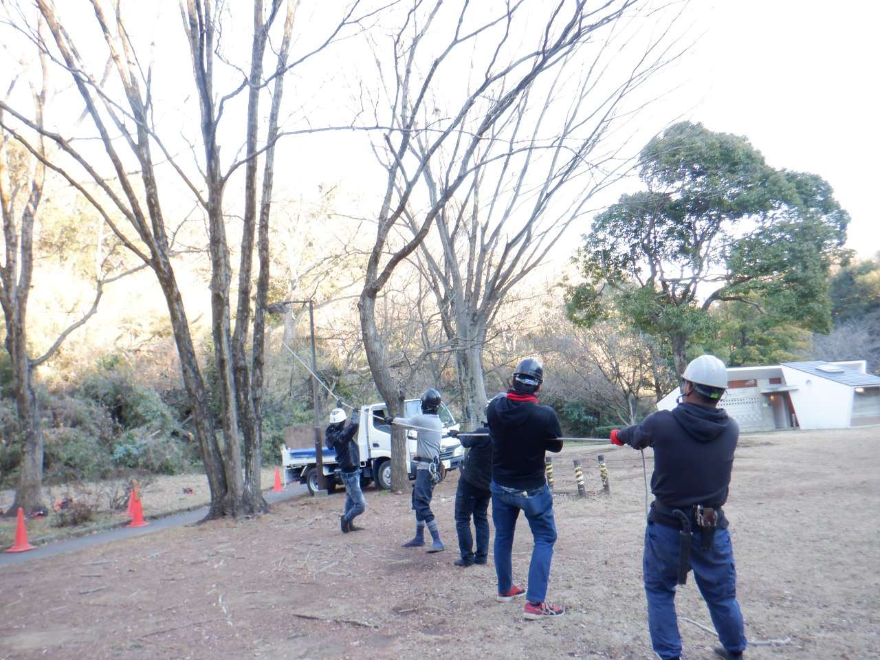 株式会社新樹緑化